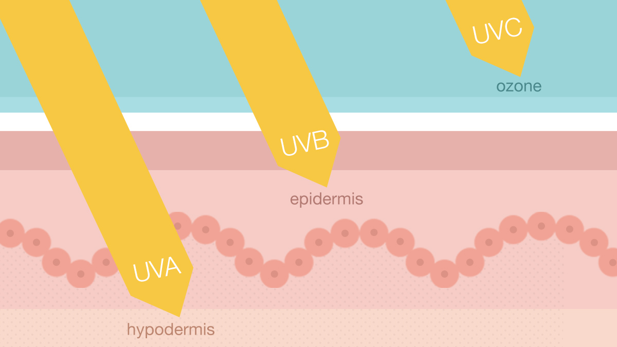 Какое действие оказывают на кожу uva лучи