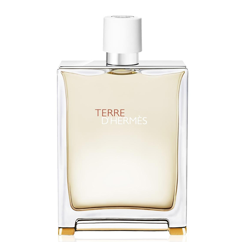 ادوفرش مردانه هرمس مدل Terre D'Hermes حجم 125 میل ادوفرش مردانه هرمس مدل Terre D'Hermes حجم 125 میل